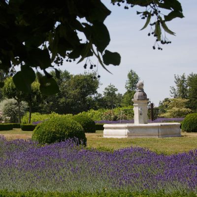 Vente Propriété de luxe Toucy 20 Pièces 1600 m²