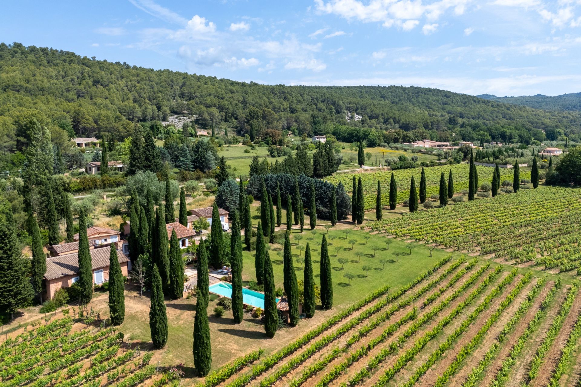 wine estate 8 Rooms for sale on VILLECROZE (83690)