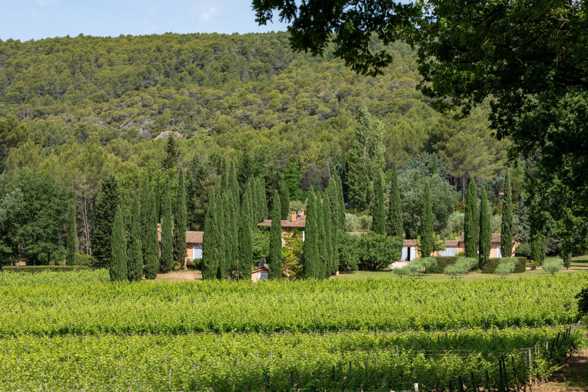 wine estate 8 Rooms for sale on VILLECROZE (83690)