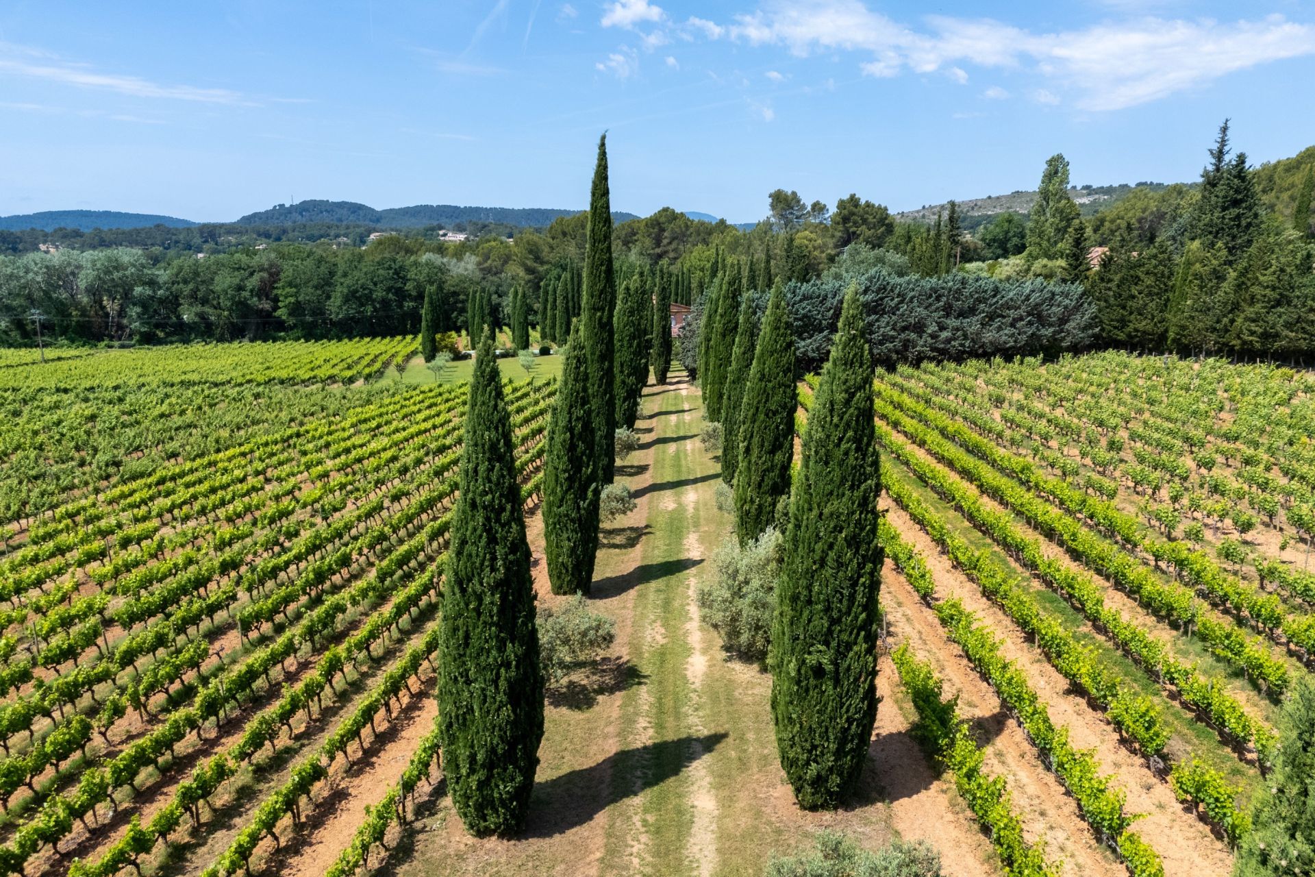 wine estate 8 Rooms for sale on VILLECROZE (83690)