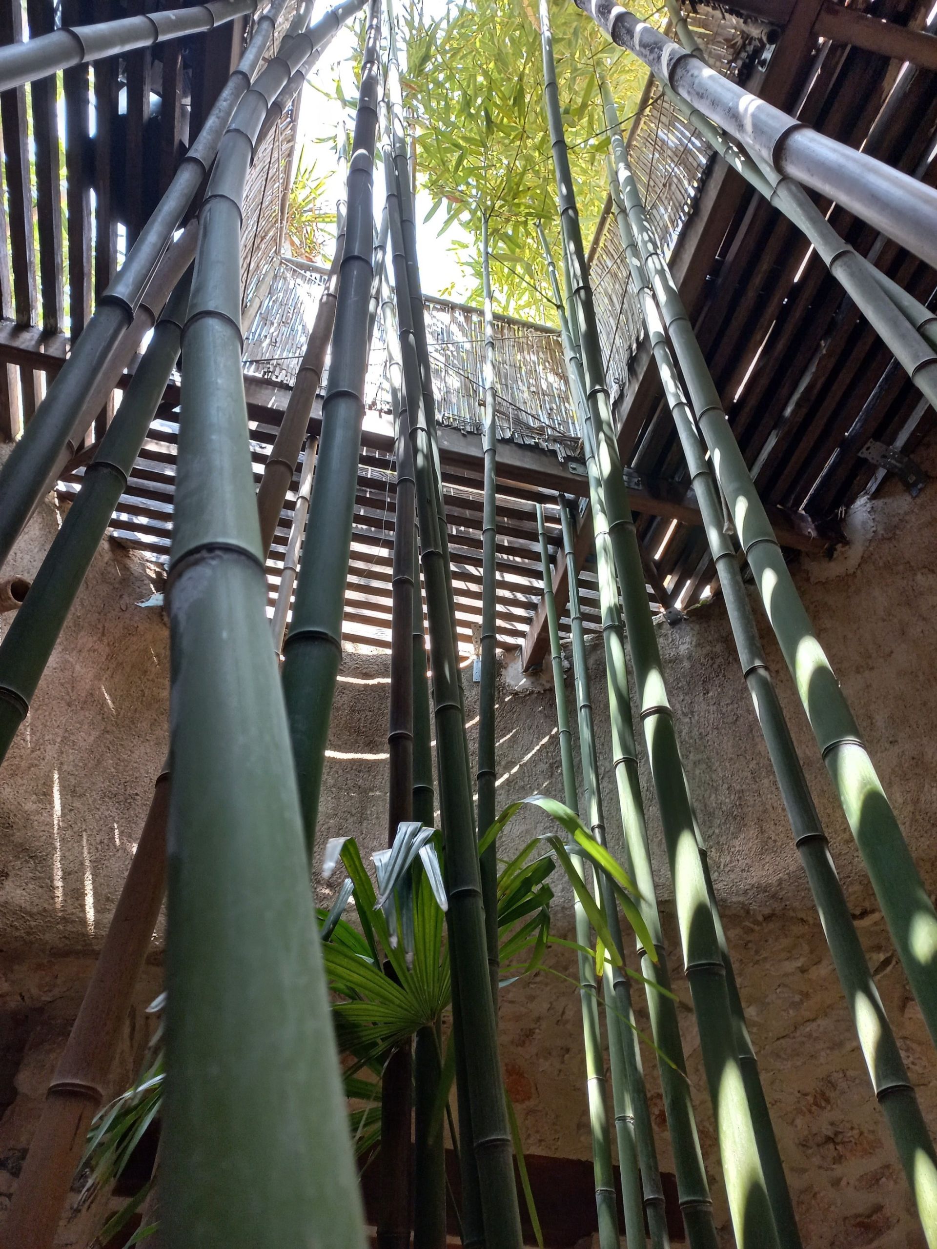 maison de luxe 13 Pièces en vente sur MONTPEYROUX (34150)