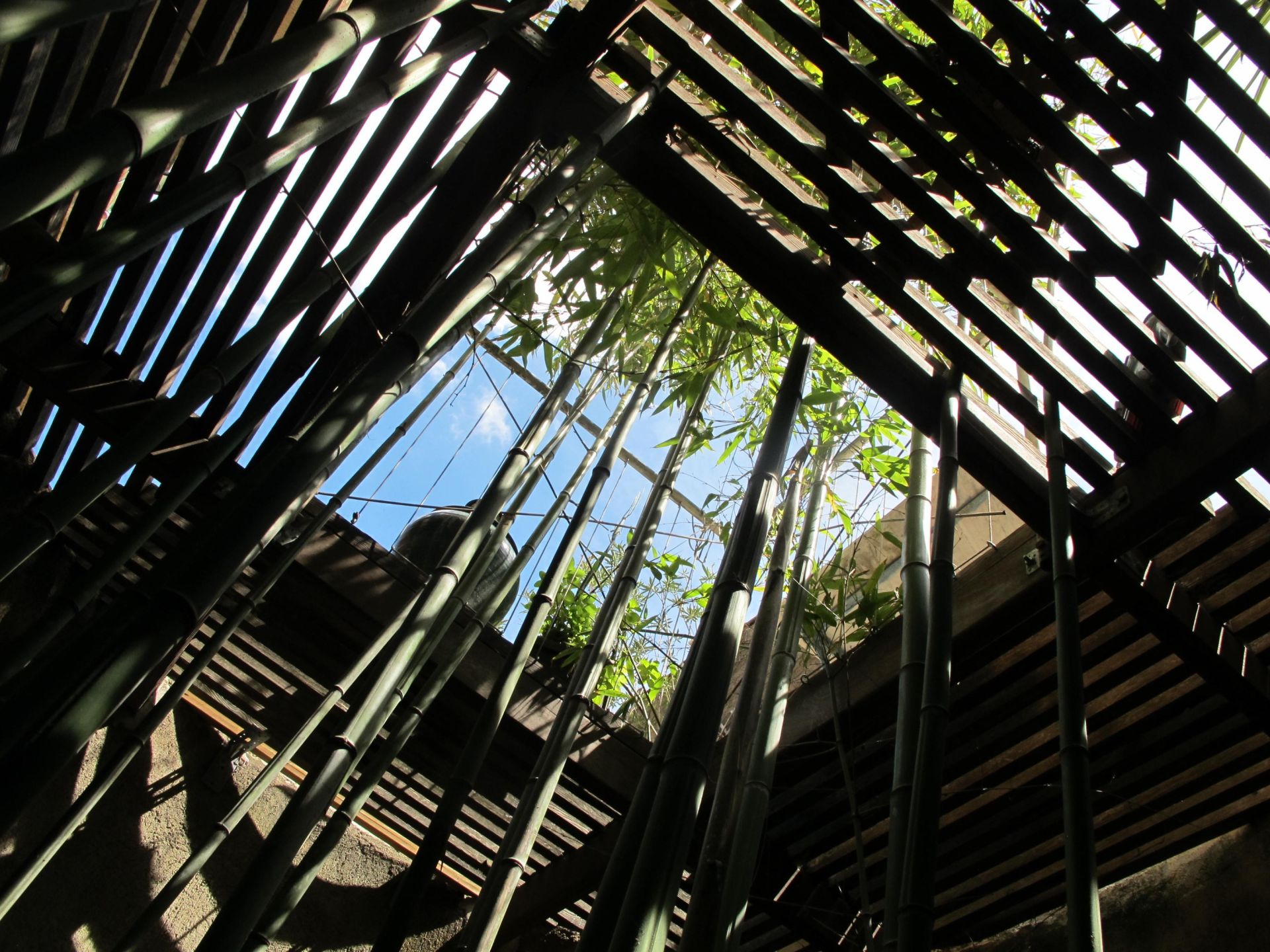 maison de luxe 13 Pièces en vente sur MONTPEYROUX (34150)