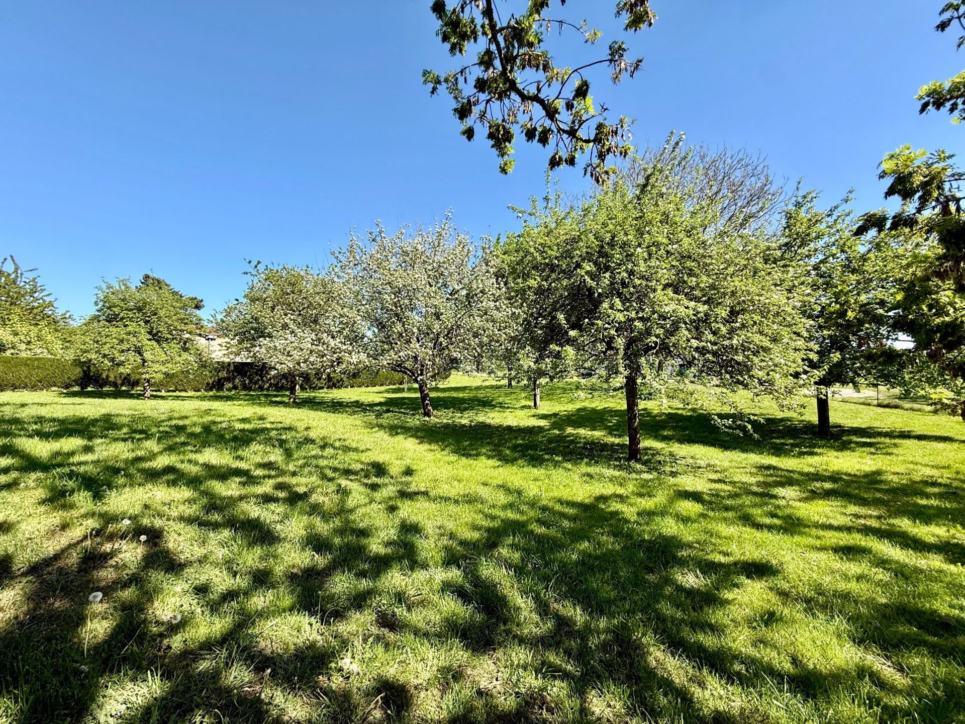 luxury house 6 Rooms for sale on HAUSSEZ (76440)