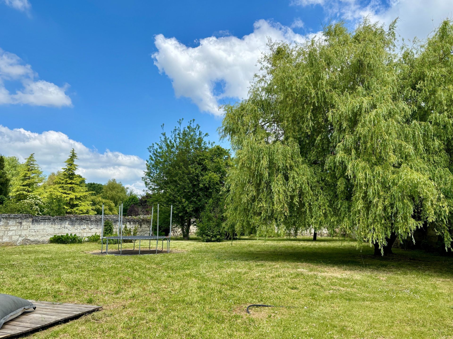 luxury house 10 Rooms for sale on BEAULIEU LES LOCHES (37600)