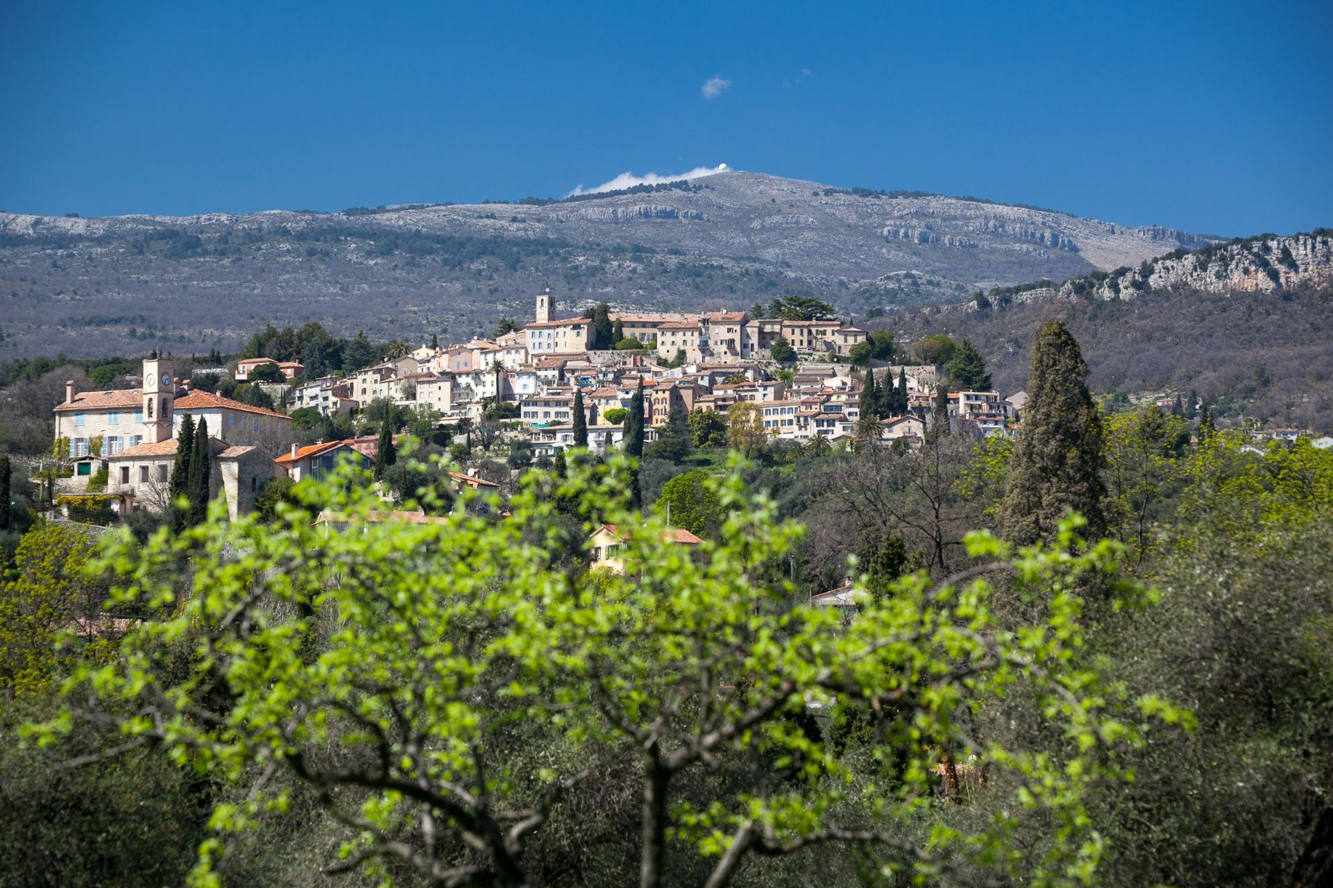 luxury provencale house 20 Rooms for sale on OPIO (06650)