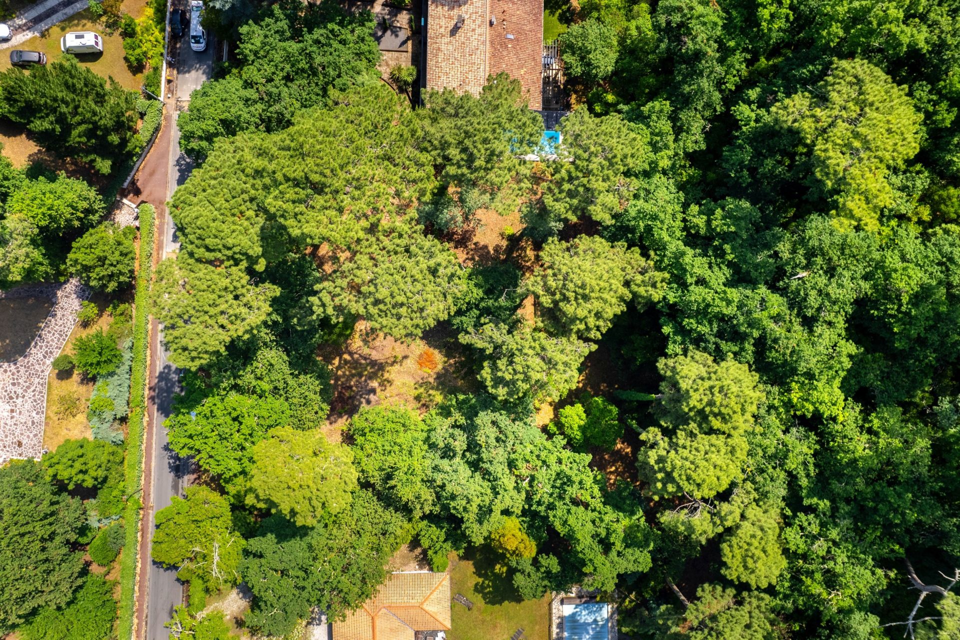 luxury house 5 Rooms for sale on ARCACHON (33120)