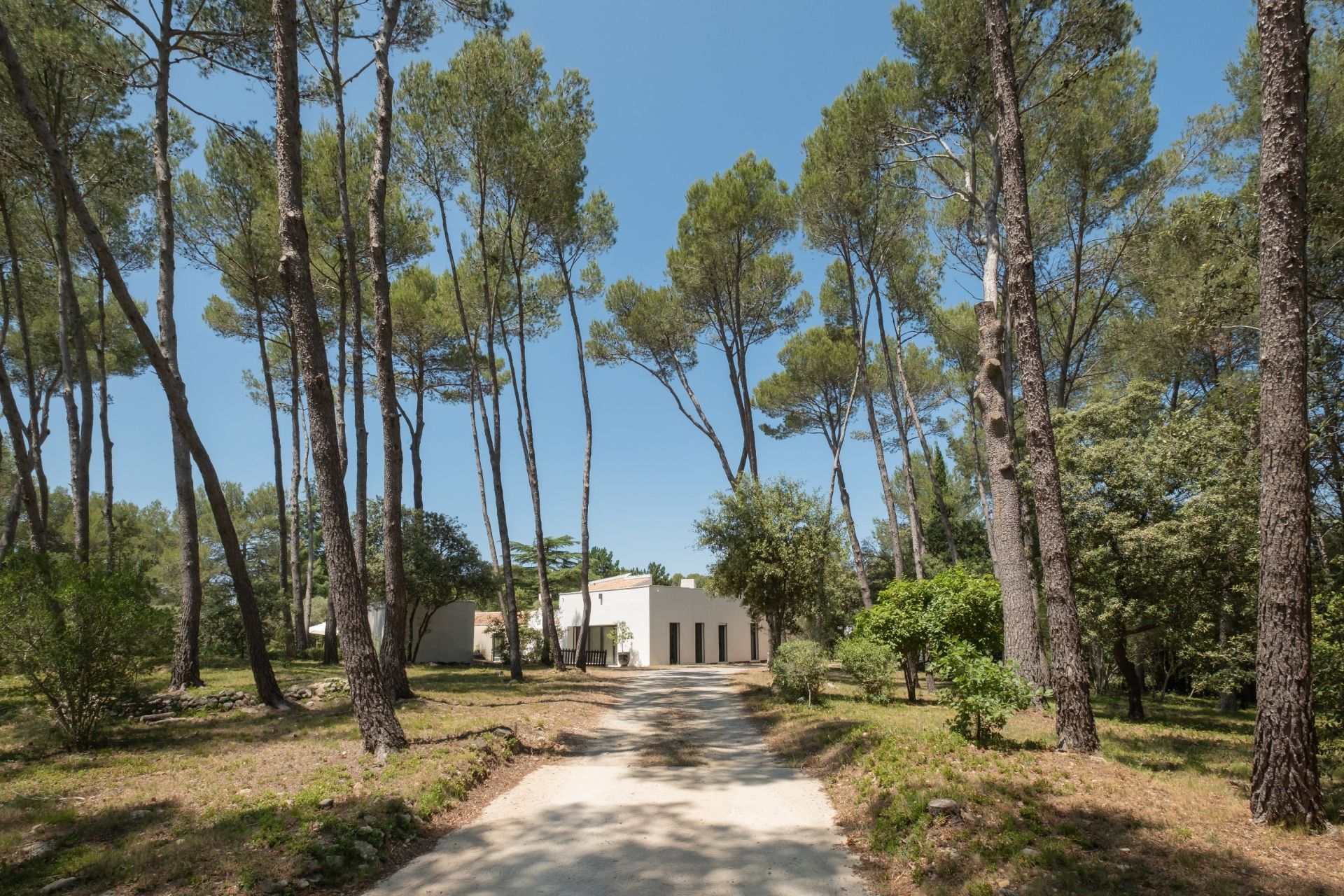 maison de luxe 10 Pièces en vente sur MONTPELLIER (34000)