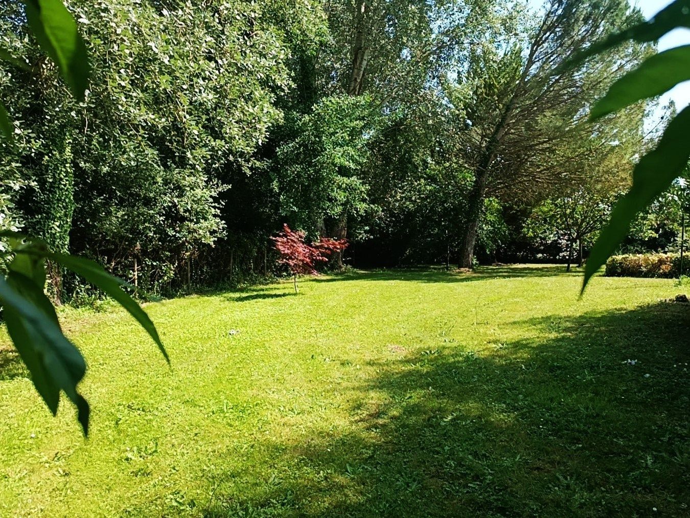 luxury house 7 Rooms for sale on CELLETTES (41120)