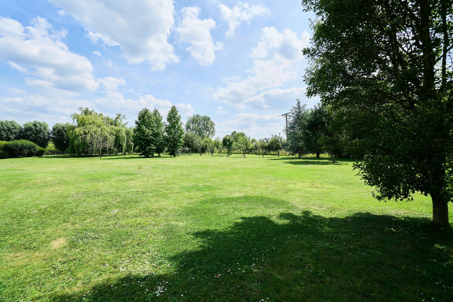 luxury house 13 Rooms for sale on BONDUES (59910)