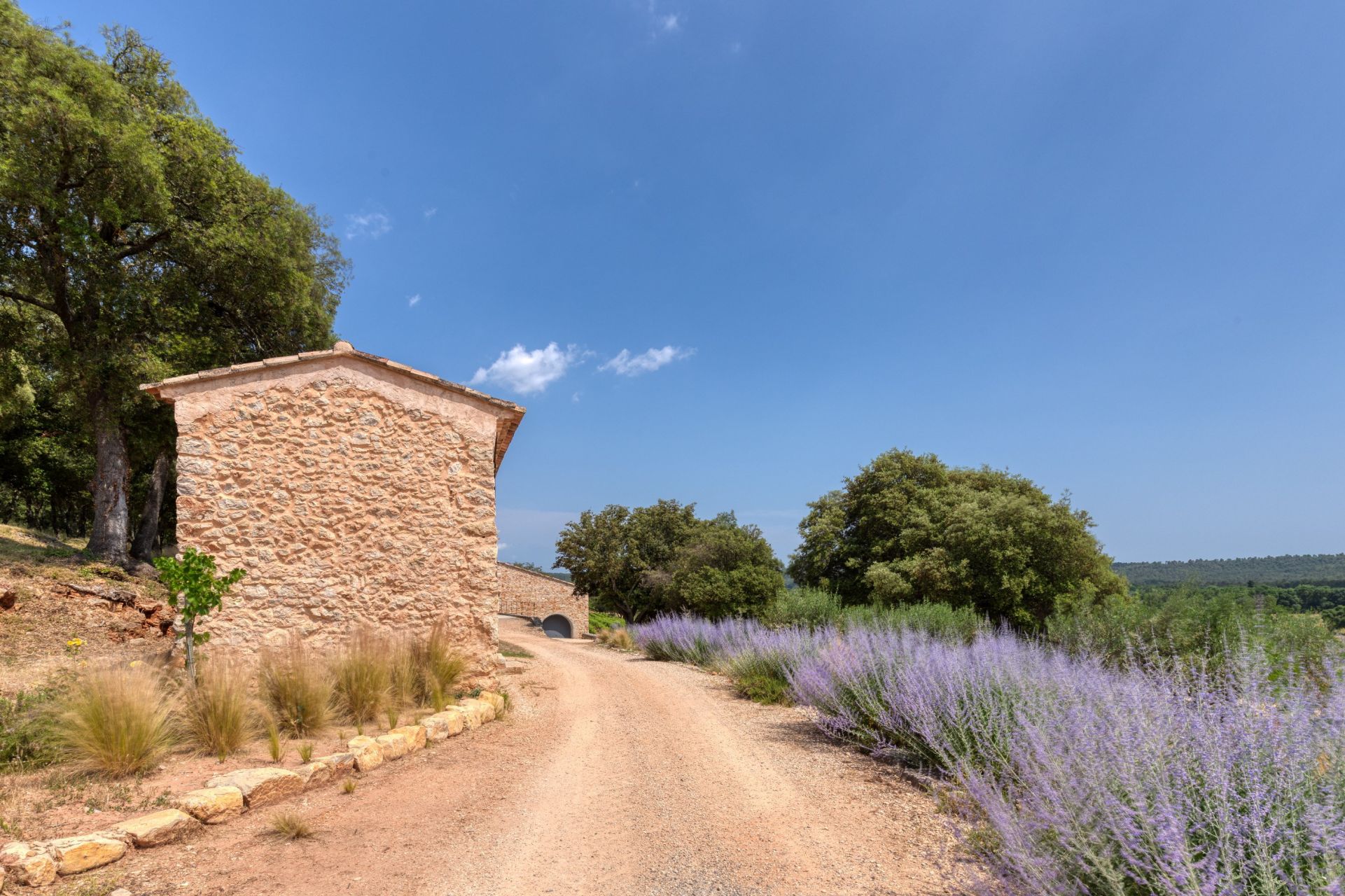 castle 30 Rooms for sale on FOX AMPHOUX (83670)