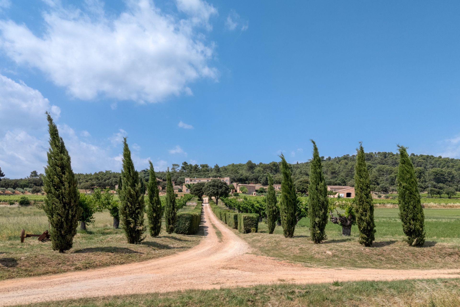 castle 30 Rooms for sale on FOX AMPHOUX (83670)