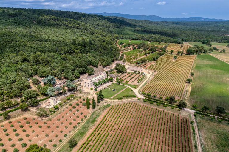 castle 30 Rooms for sale on FOX AMPHOUX (83670)