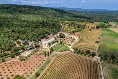 Sale Castle Fox-Amphoux 30 Rooms 1200 m²