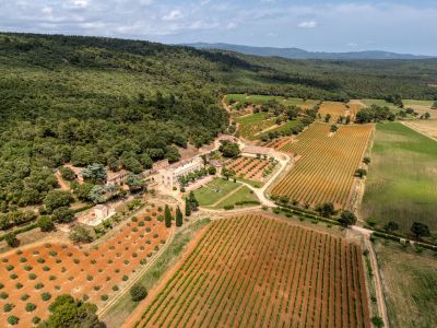 Vente Château Fox-Amphoux 30&nbsp;Pièces 1200&nbsp;m²