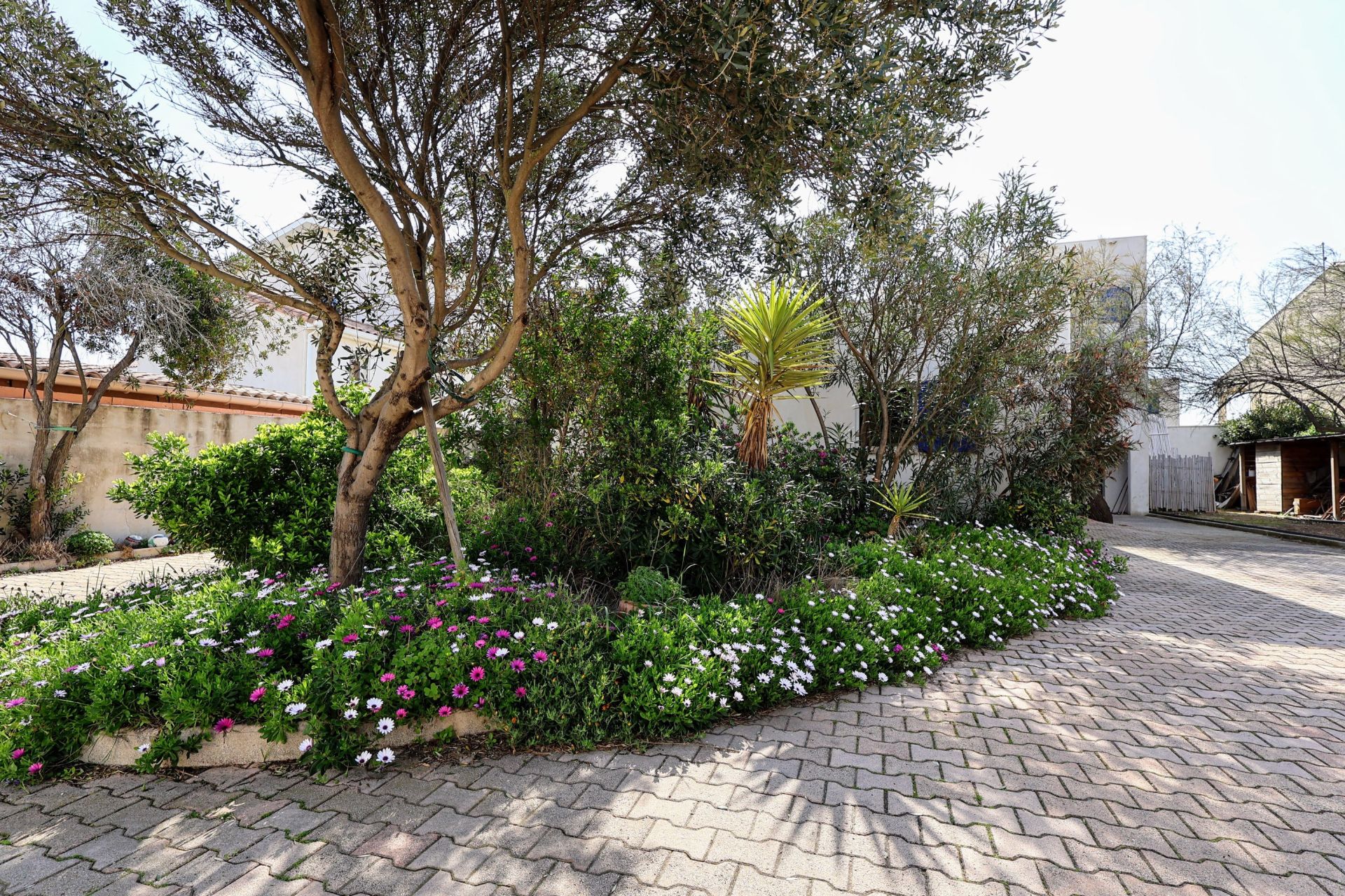 maison de luxe 8 Pièces en vente sur FRONTIGNAN (34110)