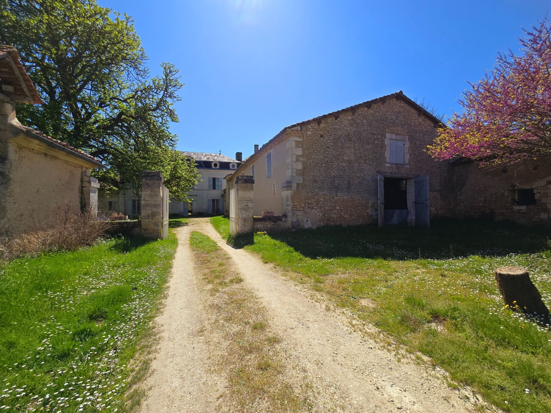 luxury house 20 Rooms for sale on PERIGUEUX (24000)