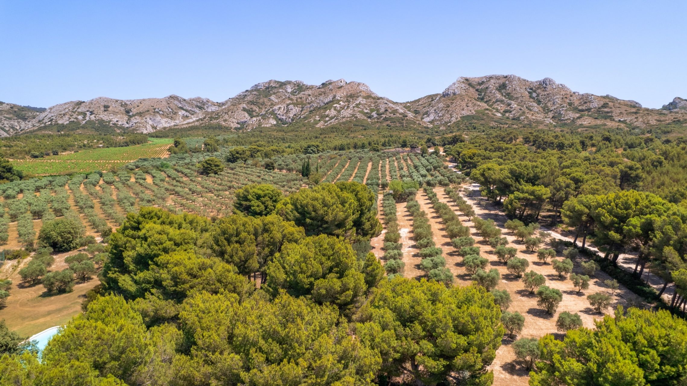 maison de luxe 11 Pièces en vente sur MAUSSANE LES ALPILLES (13520)
