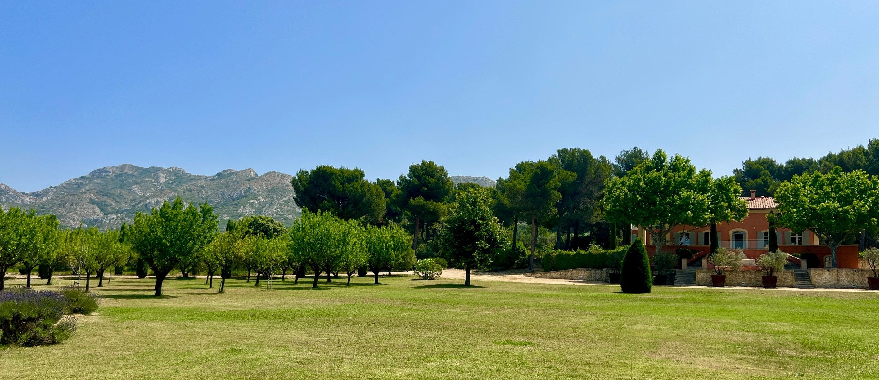 maison de luxe 11 Pièces en vente sur MAUSSANE LES ALPILLES (13520)