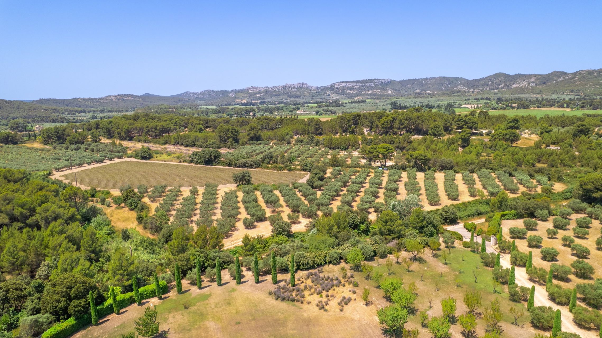 maison de luxe 11 Pièces en vente sur MAUSSANE LES ALPILLES (13520)