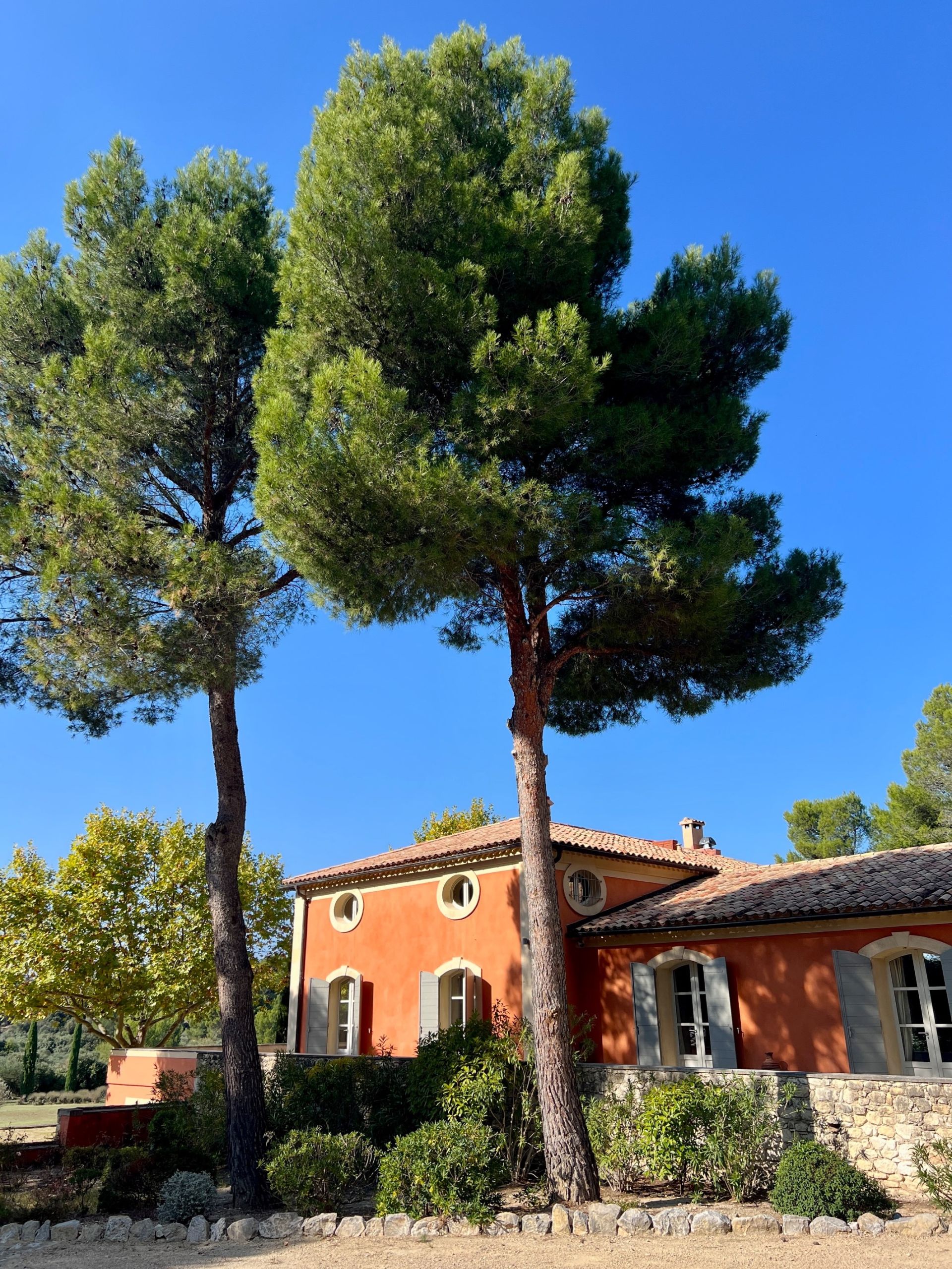 luxury house 11 Rooms for sale on MAUSSANE LES ALPILLES (13520)