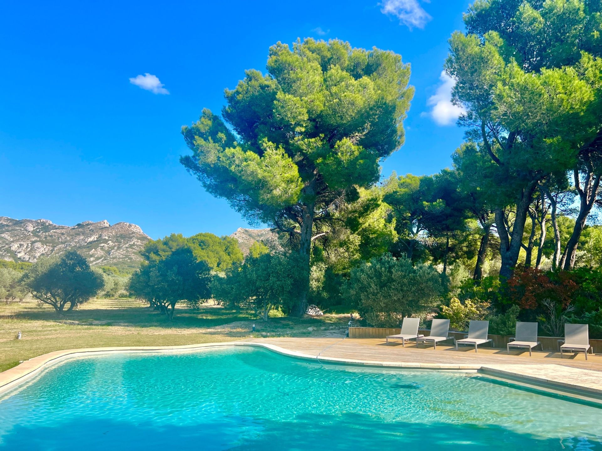 luxury house 11 Rooms for sale on MAUSSANE LES ALPILLES (13520)