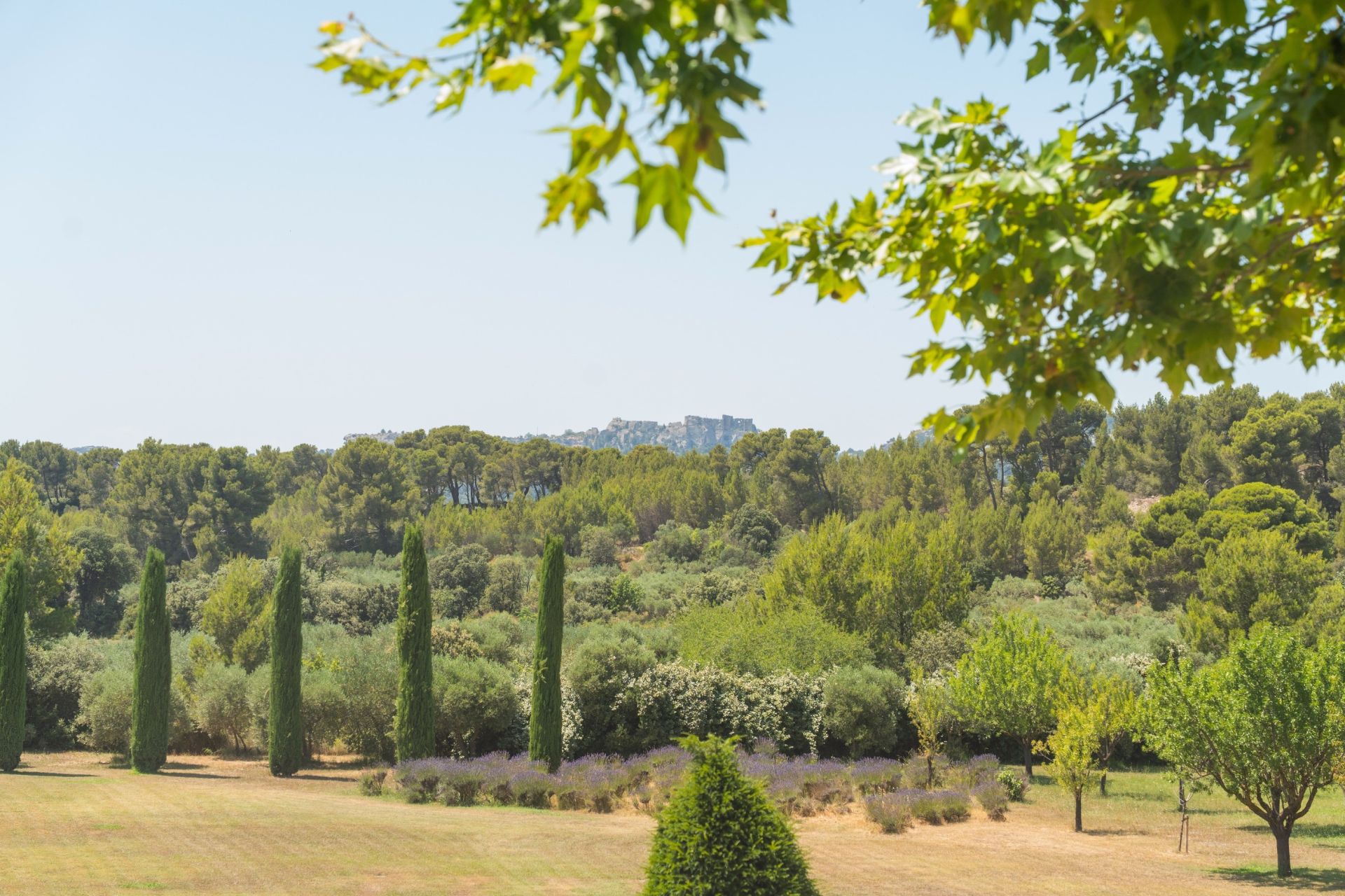 maison de luxe 11 Pièces en vente sur MAUSSANE LES ALPILLES (13520)