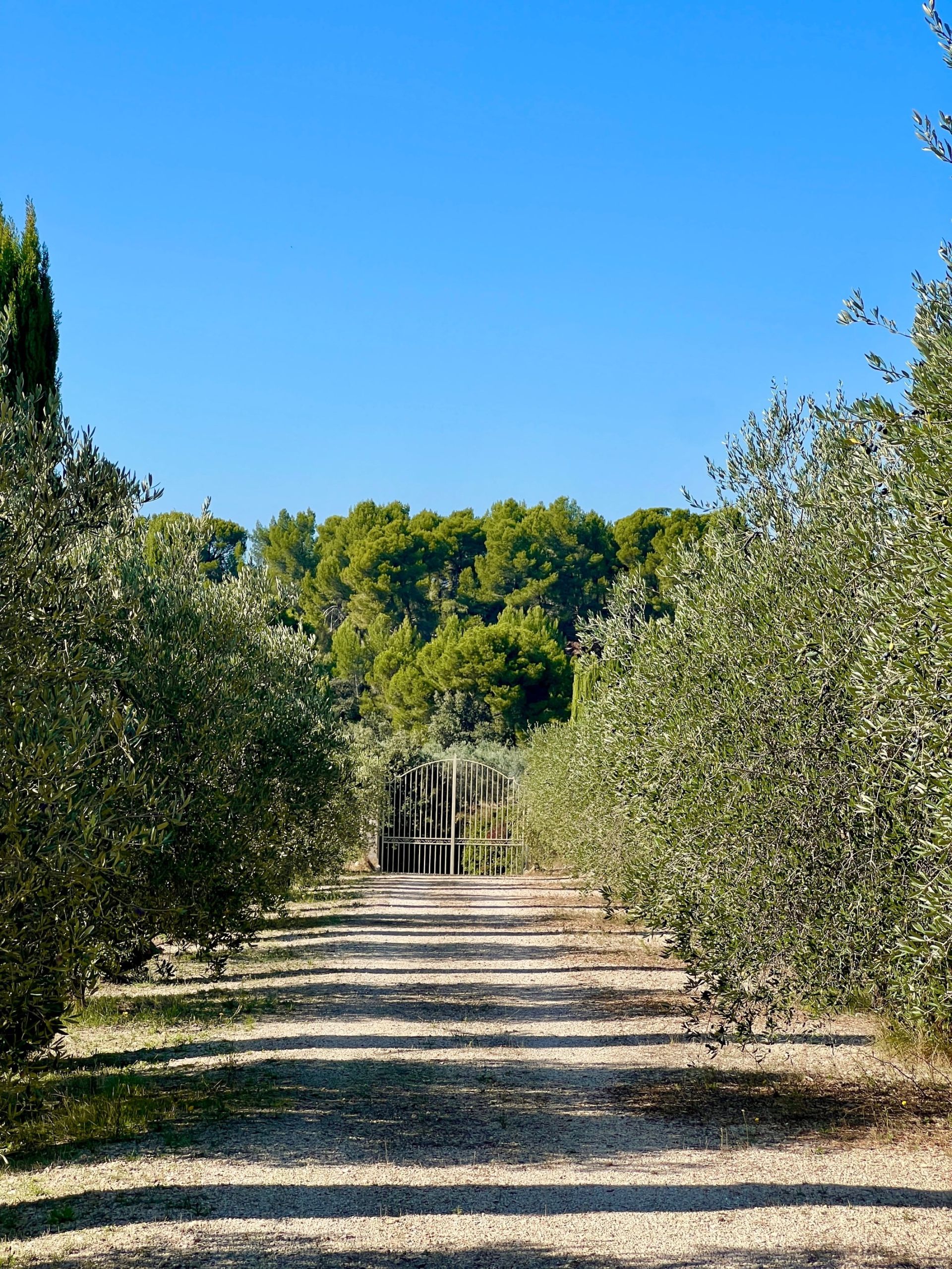 luxury house 11 Rooms for sale on MAUSSANE LES ALPILLES (13520)