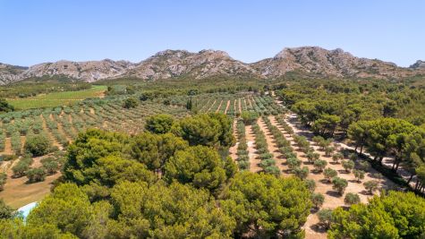 Sale Luxury house Maussane-les-Alpilles 11 Rooms 500 m²