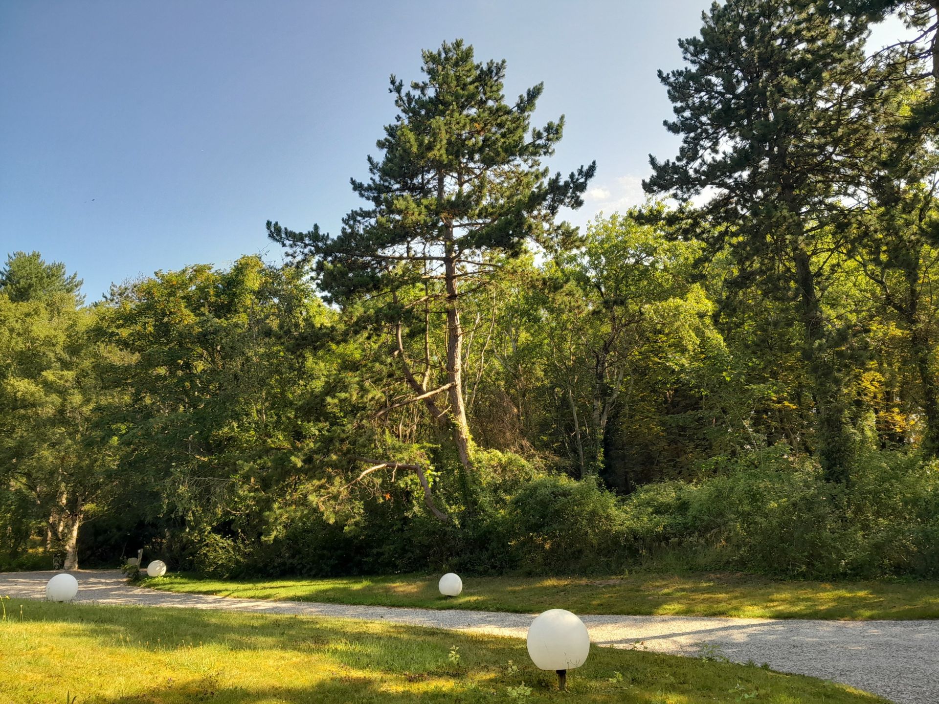 luxury villa 7 Rooms for sale on LE TOUQUET PARIS PLAGE (62520)