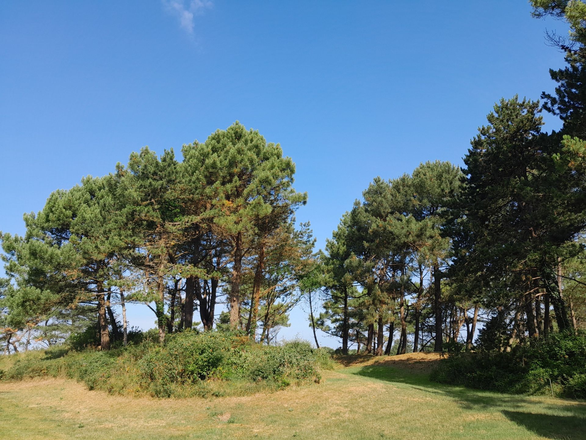 villa de luxe 7 Pièces en vente sur LE TOUQUET PARIS PLAGE (62520)