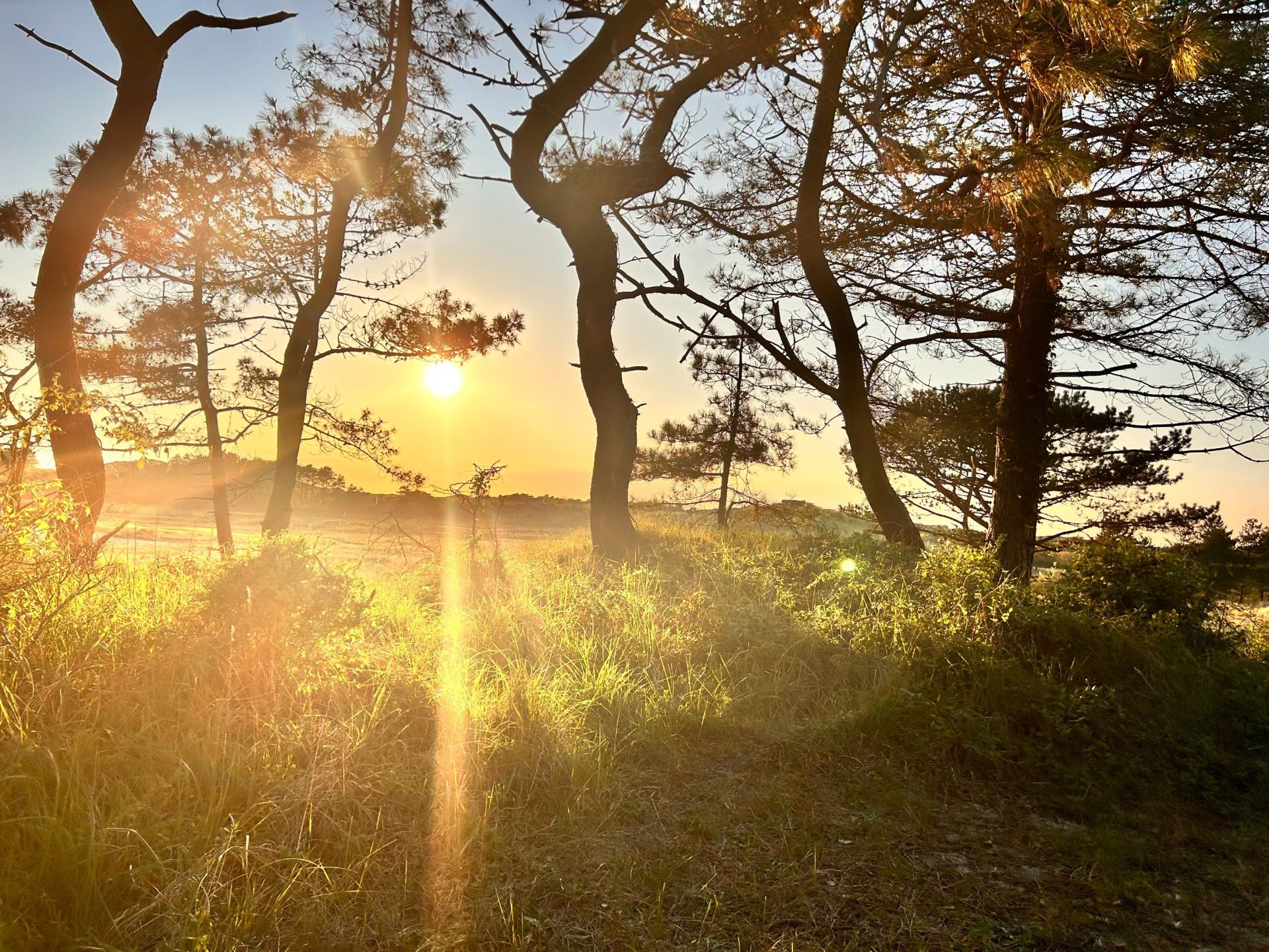 luxury villa 7 Rooms for sale on LE TOUQUET PARIS PLAGE (62520)