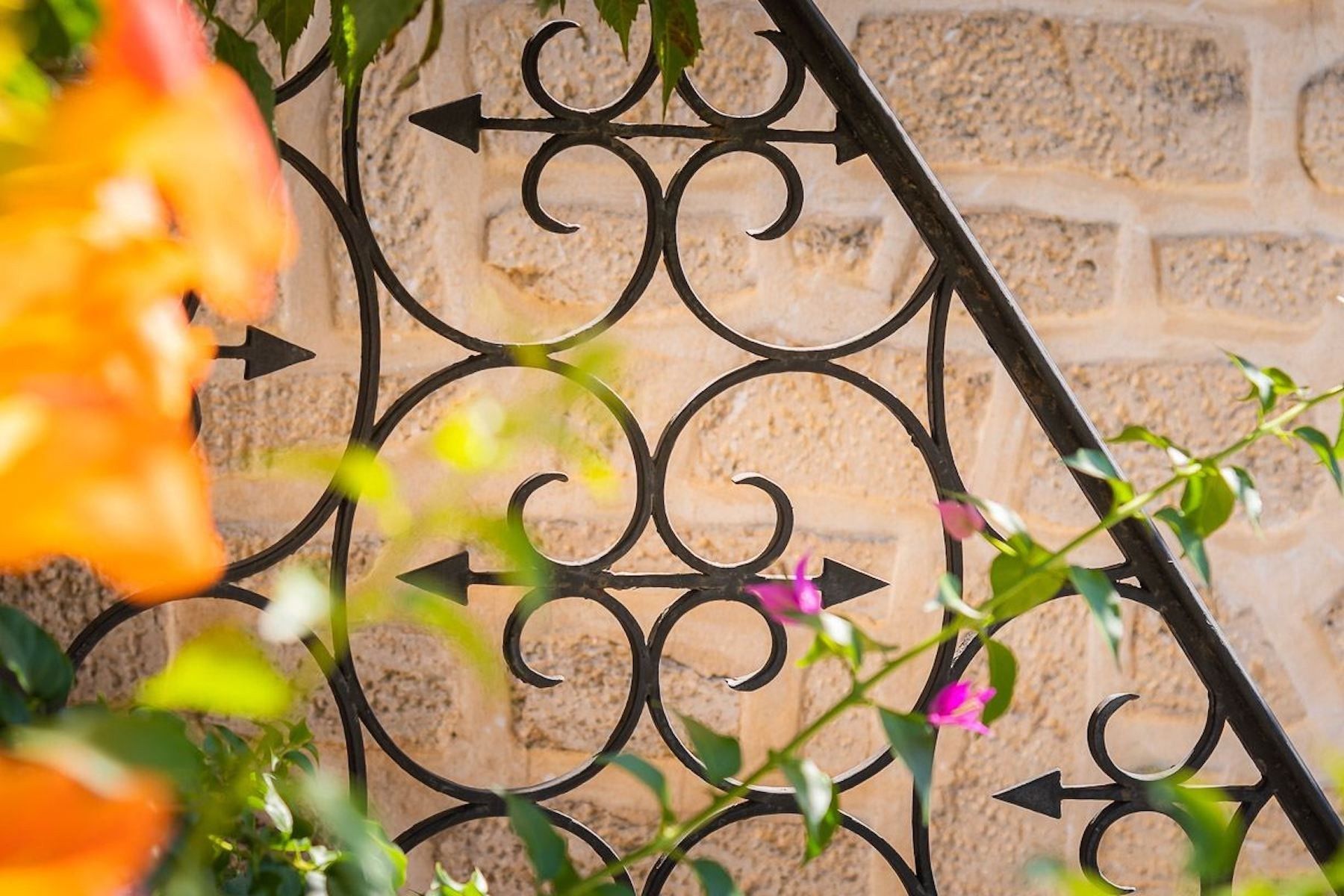 maison de luxe 10 Pièces en vente sur ST JEAN DE VEDAS (34430)