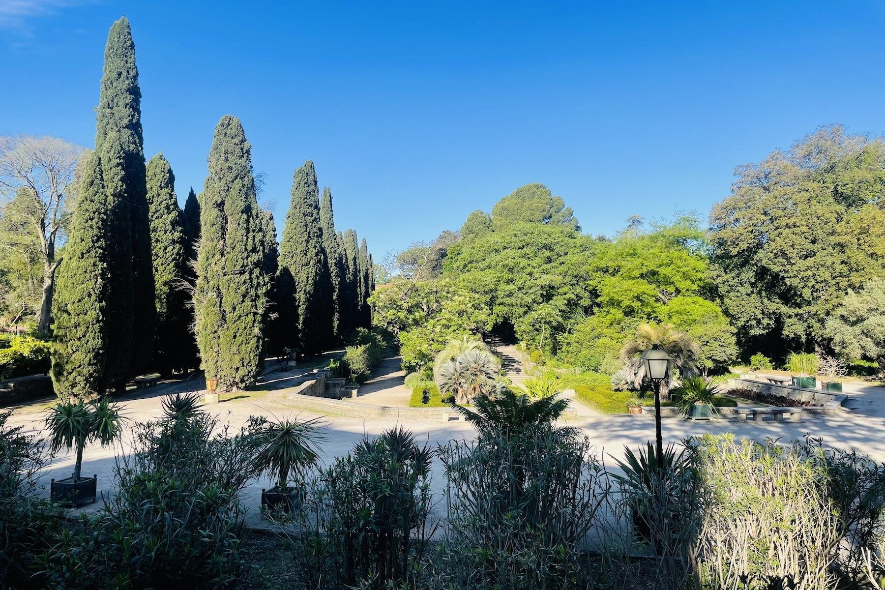 maison de luxe 10 Pièces en vente sur ST JEAN DE VEDAS (34430)