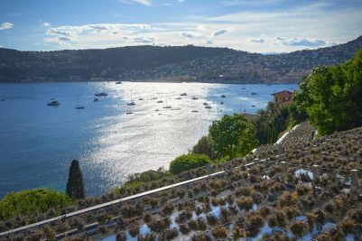 Sale Contemporary house Saint-Jean-Cap-Ferrat 10 Rooms 595 m²