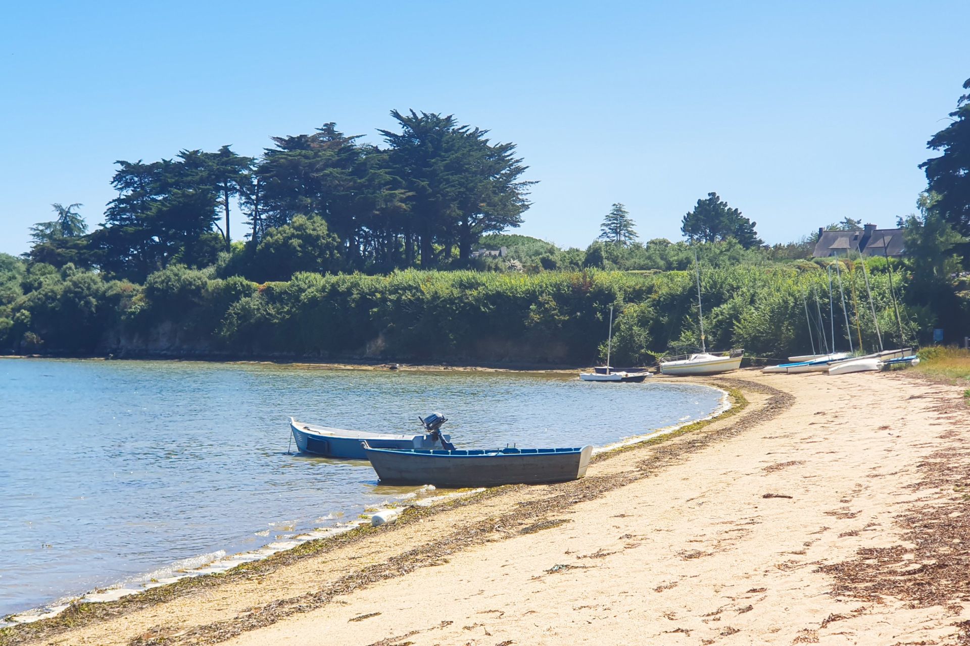 luxury house 12 Rooms for sale on ARZON (56640)