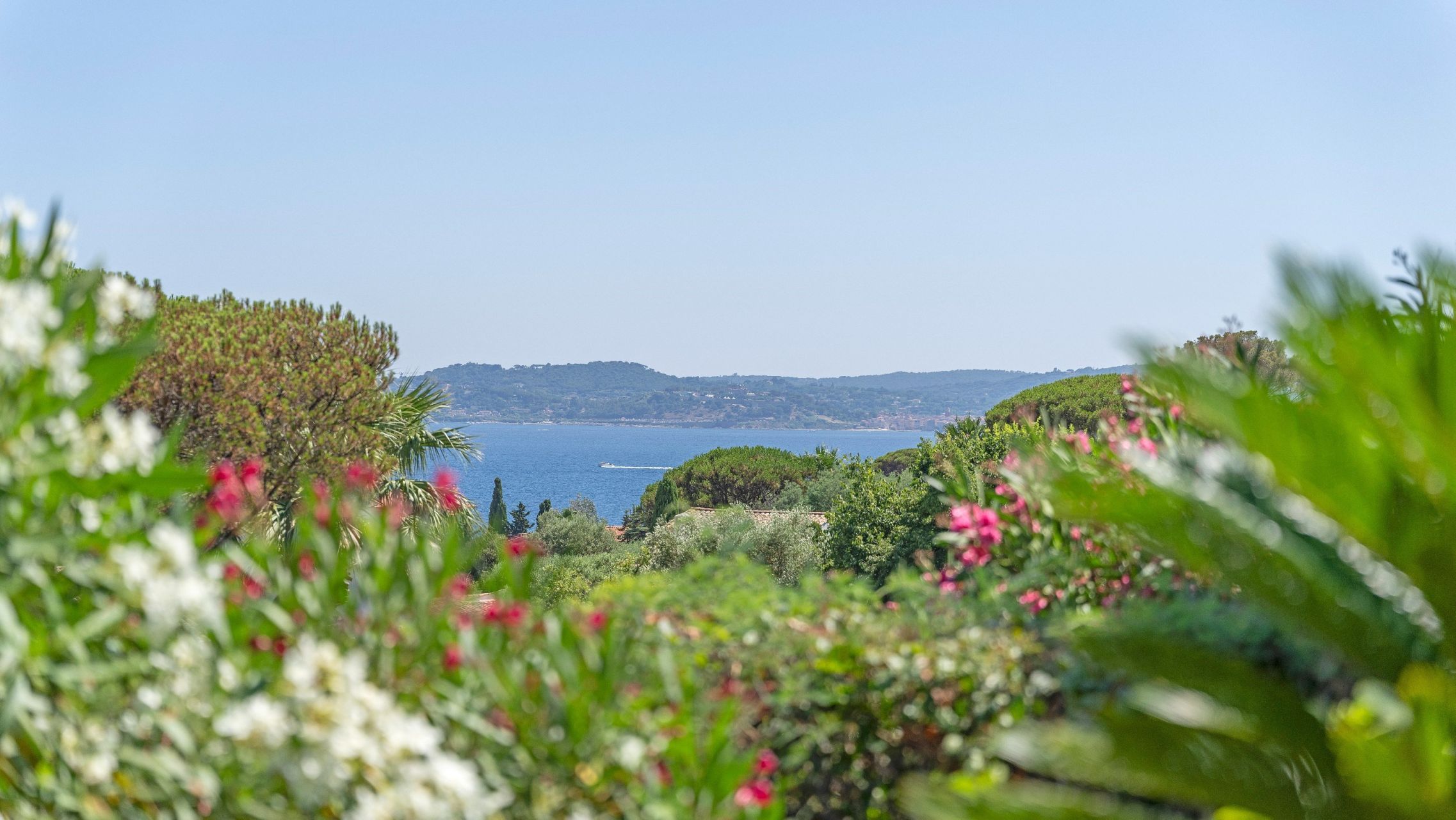 villa de luxe 11 Pièces en vente sur STE MAXIME (83120)