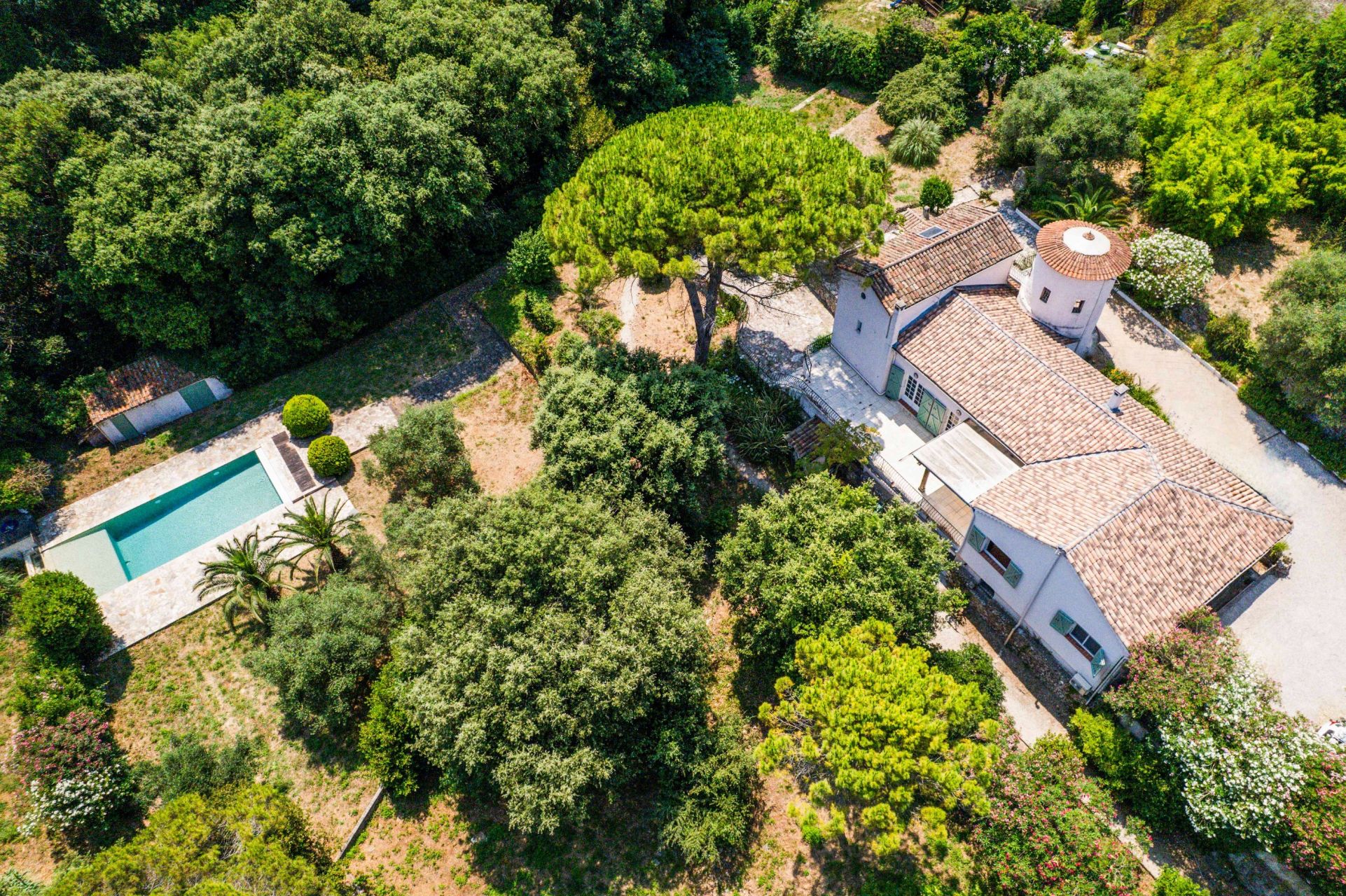 luxury villa 7 Rooms for sale on VALLAURIS (06220)