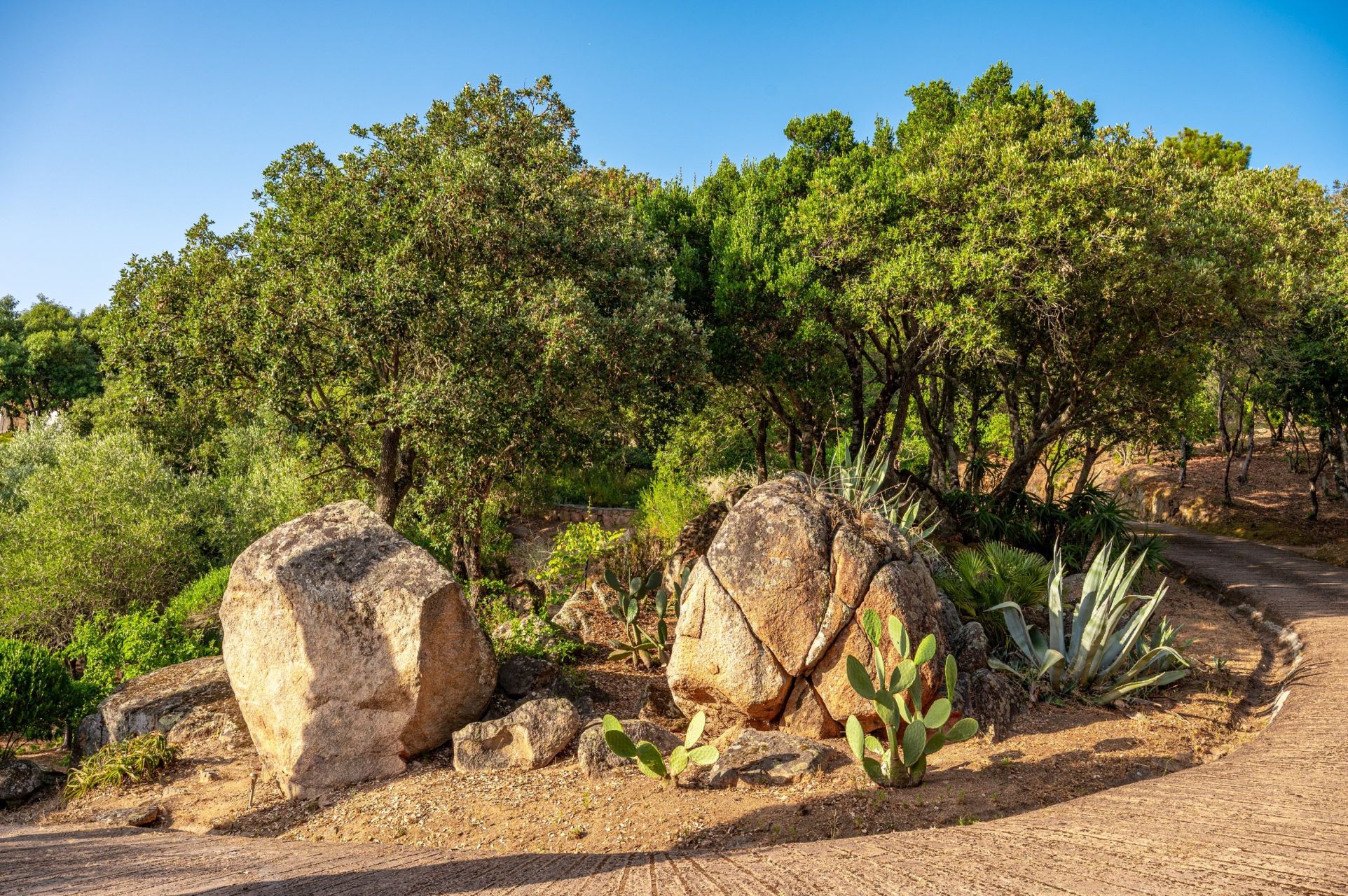 luxury villa 10 Rooms for sale on PIETROSELLA (20166)