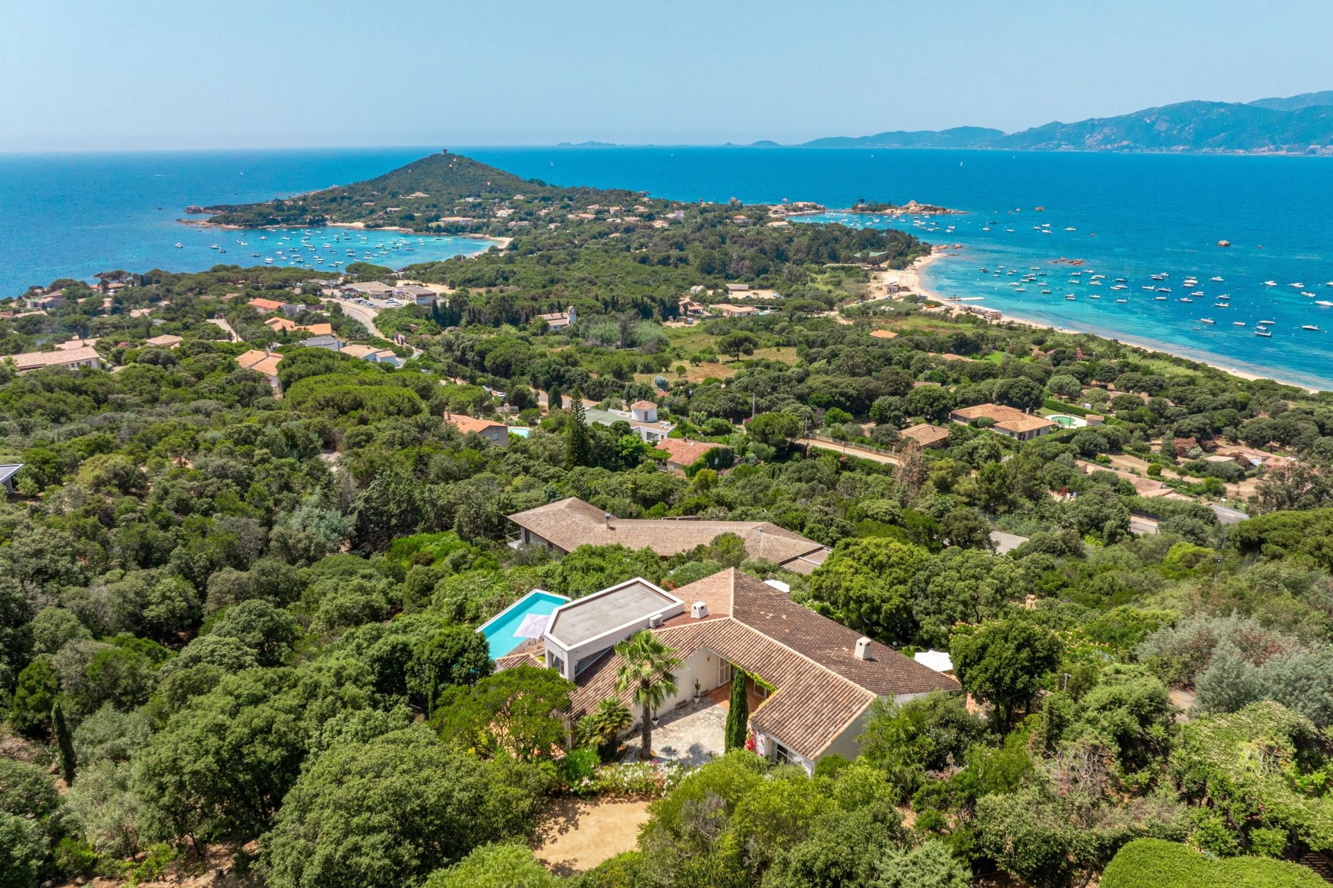 villa de luxe 10 Pièces en vente sur PIETROSELLA (20166)