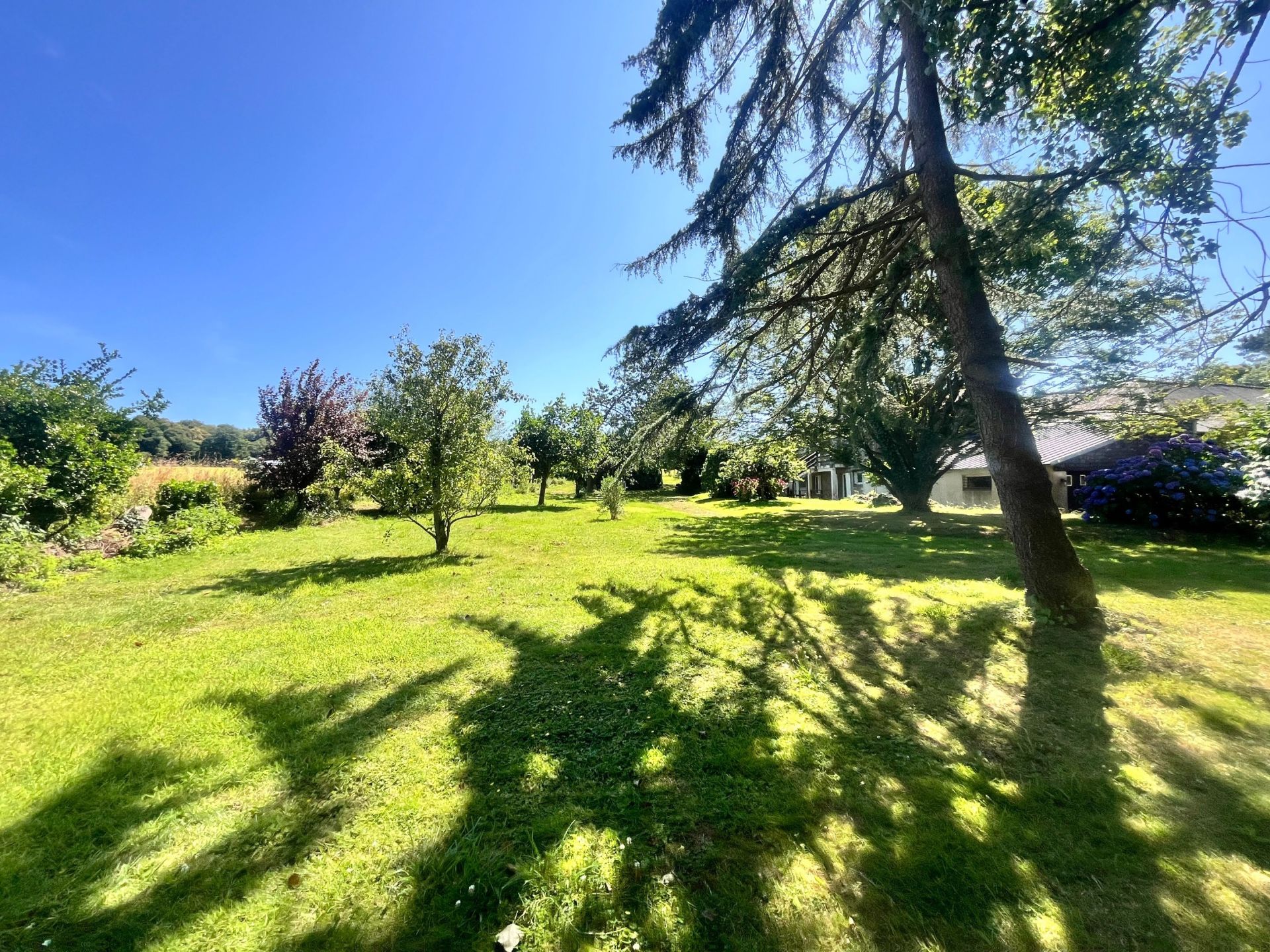 luxury house 20 Rooms for sale on PLOMODIERN (29550)