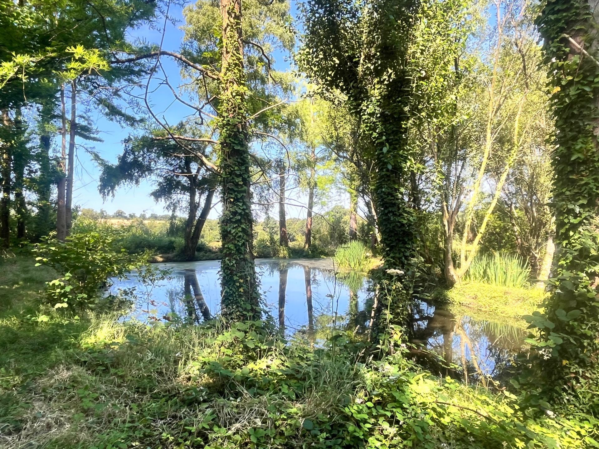 luxury house 20 Rooms for sale on PLOMODIERN (29550)