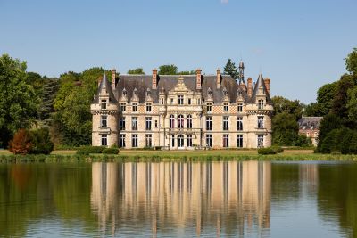 Vente Château Auneau 56&nbsp;Pièces 5000&nbsp;m²