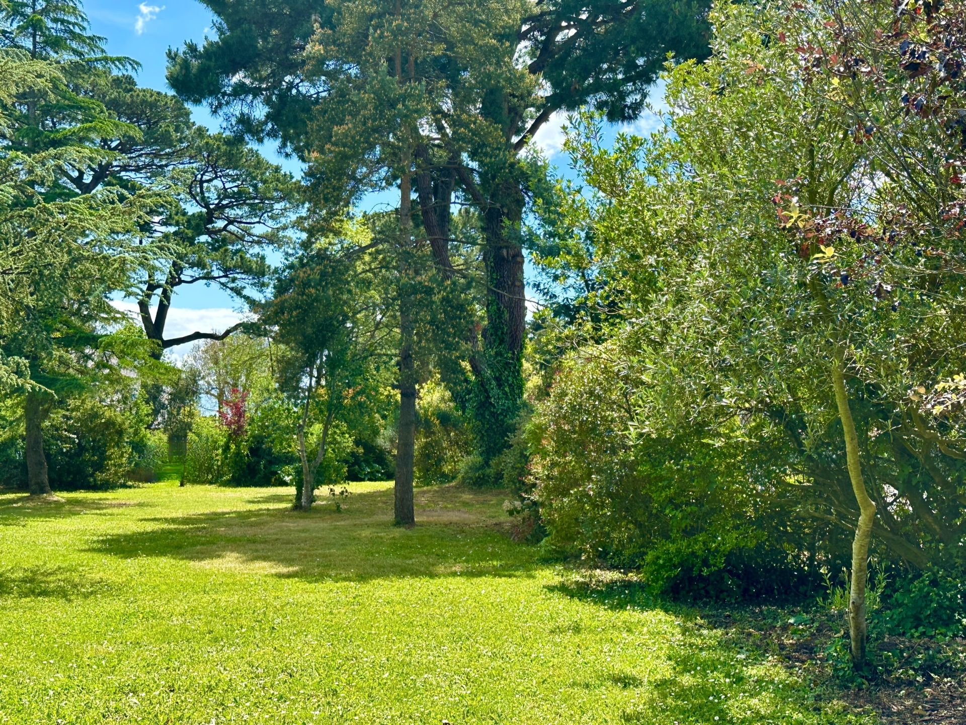 luxury house 6 Rooms for sale on PORNIC (44210)