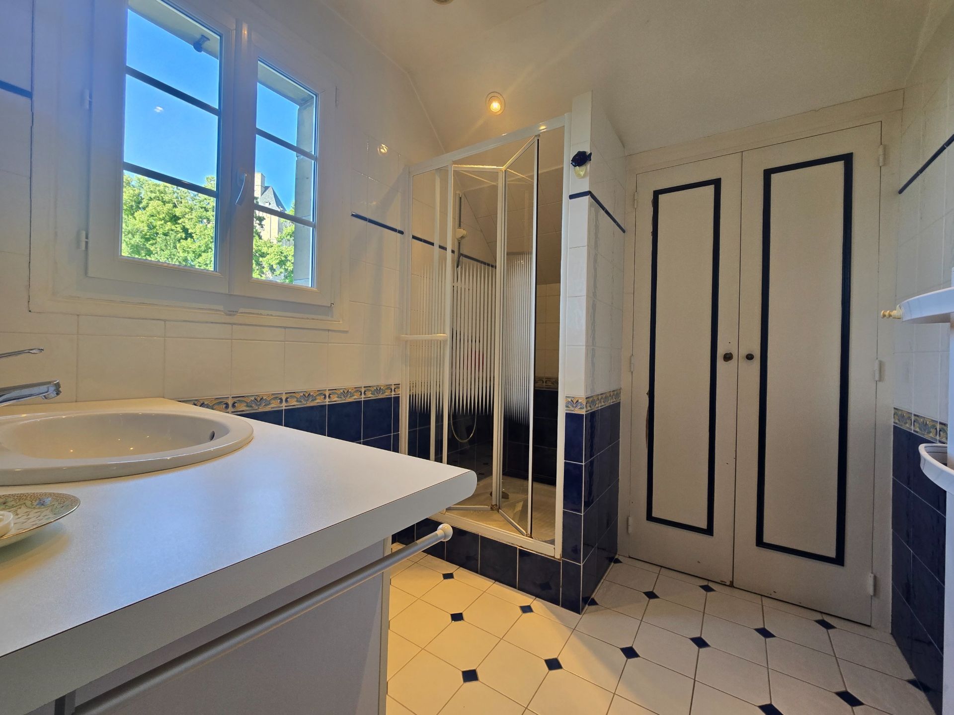 maison de luxe 8 Pièces en vente sur BRIVE LA GAILLARDE (19100)