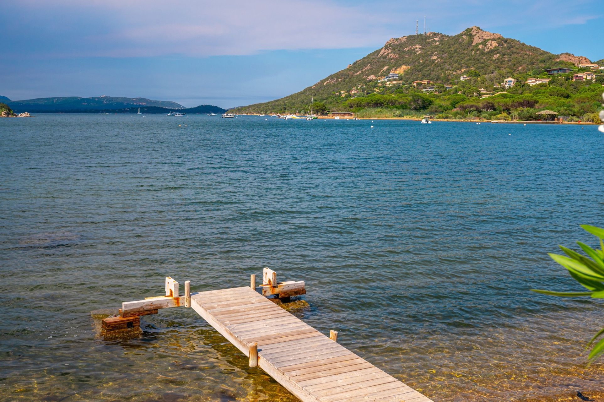 luxury villa 6 Rooms for sale on PORTO VECCHIO (20137)