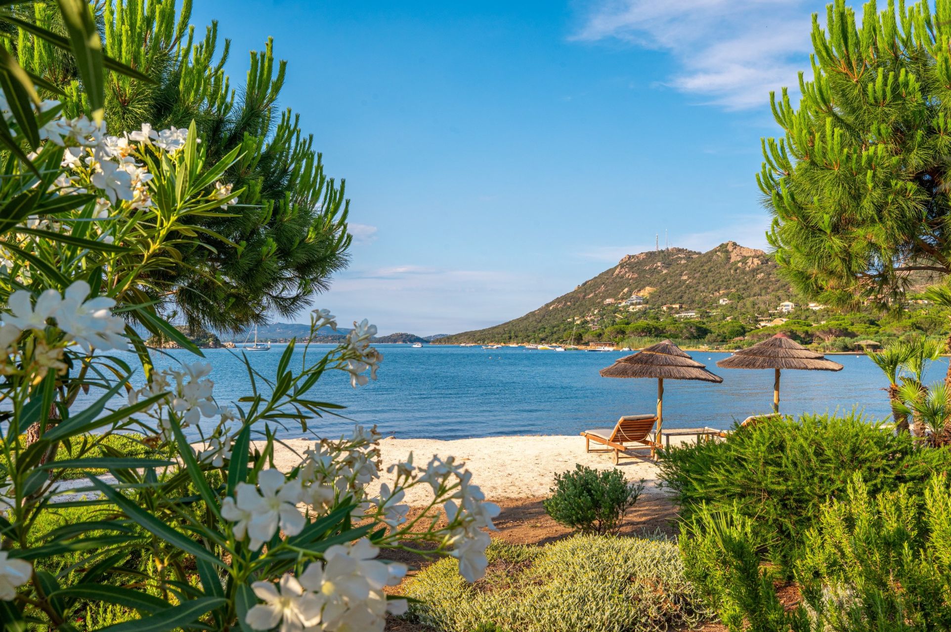 luxury villa 6 Rooms for sale on PORTO VECCHIO (20137)