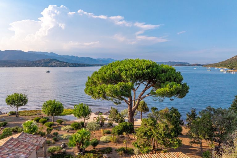 luxury villa 6 Rooms for sale on PORTO VECCHIO (20137)