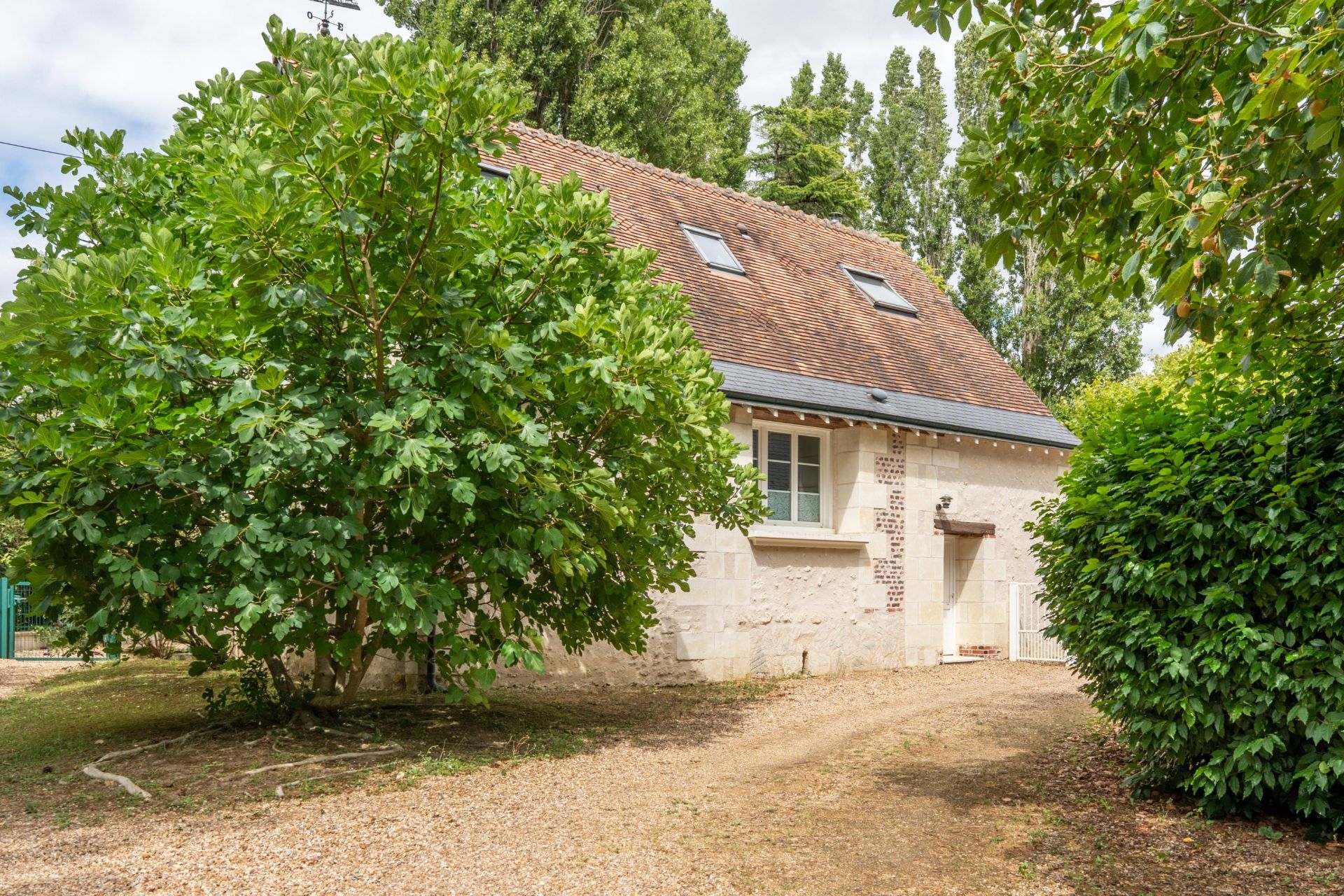 moulin 19 Pièces en vente sur CHANCAY (37210)