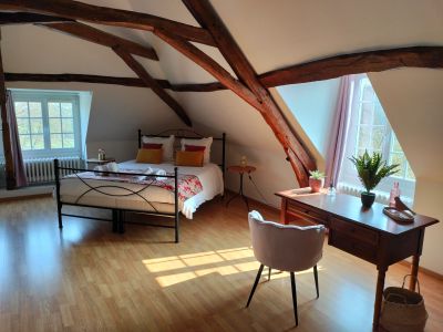 Vente Moulin Chançay 19 Pièces 720 m²