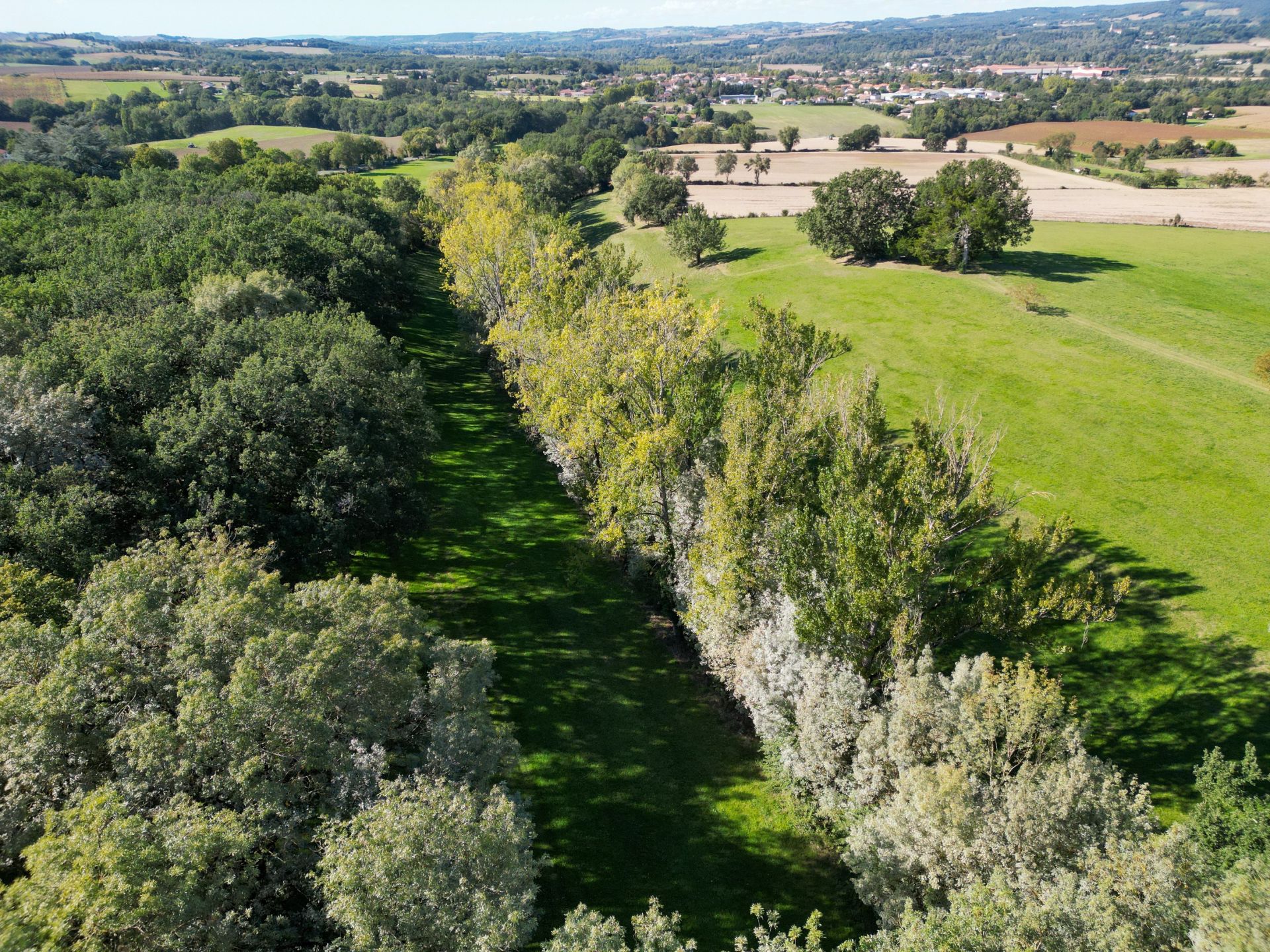 luxury house 11 Rooms for sale on LAVAUR (81500)